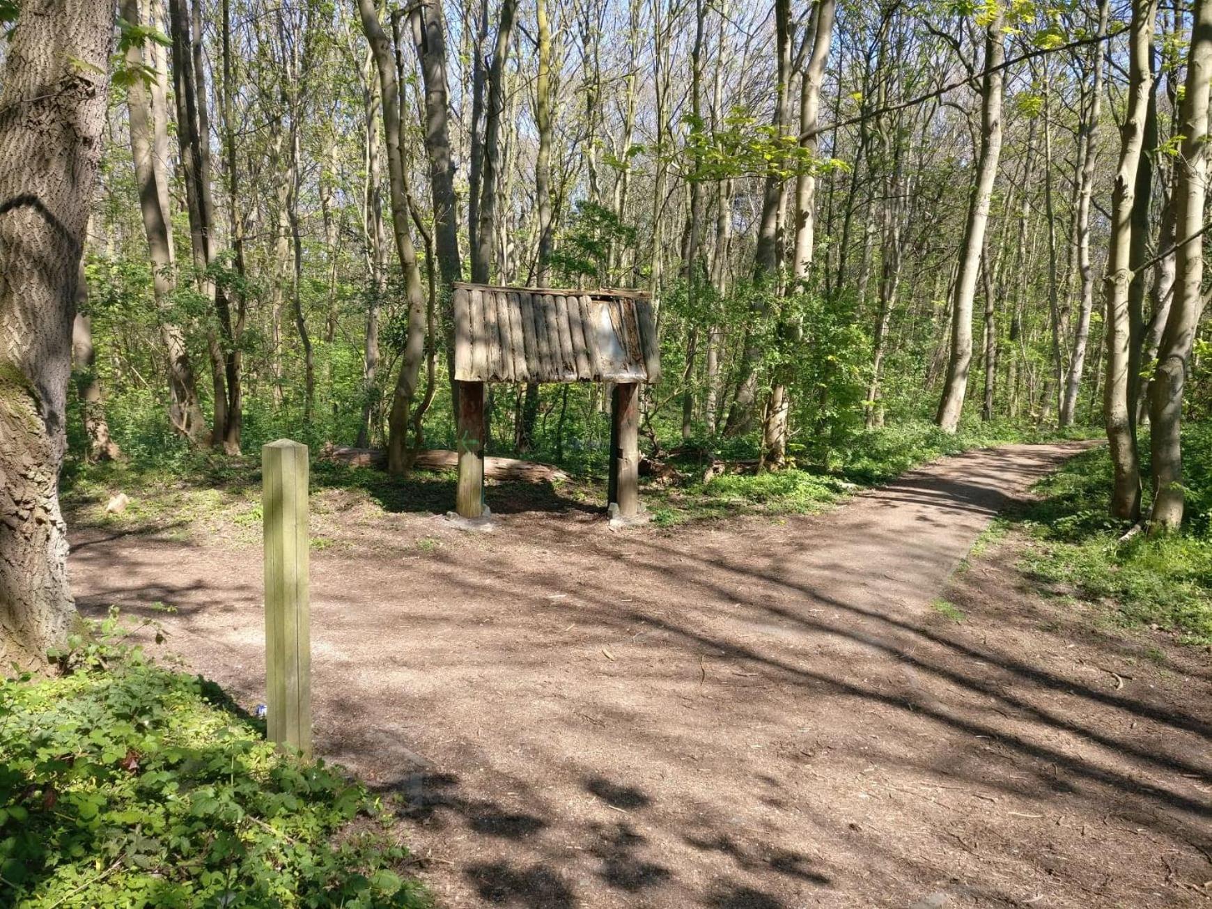 Greenfee Vakantieappartement De Haan Exteriör bild